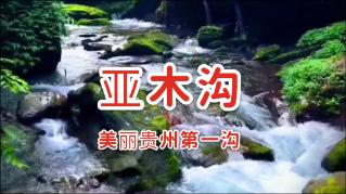 一体推进食品安全社会治理机制建设